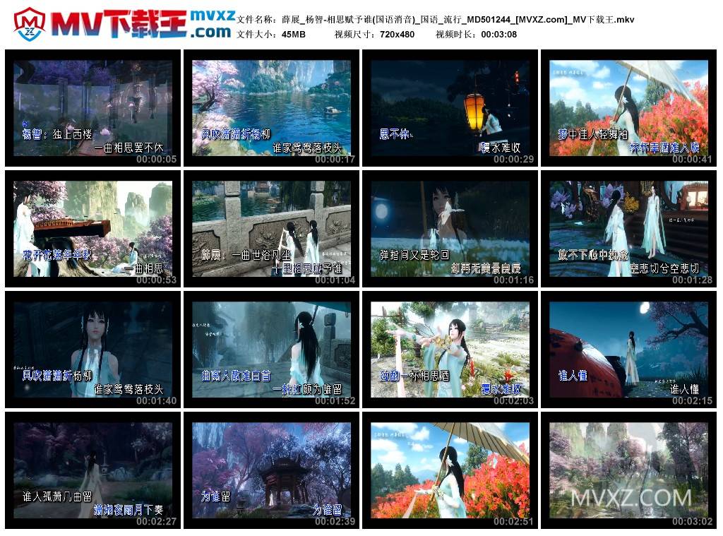 薛展_杨智-相思赋予谁(国语消音)_国语_流行_MD501244